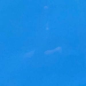 Meet your Posher, Amelia